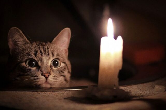 Оккупанты на 3 дня отключат электричество по всей «ЛНР» — население возмущается в Сети