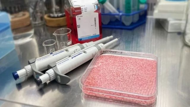 Революционный «мясистый» рис: новый шаг в будущее питания