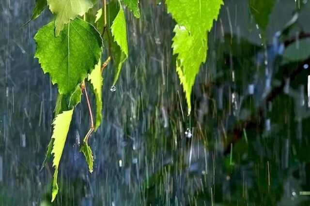 Готовьте зонты: синоптик рассказала, к чему готовиться 18 и 19 мая