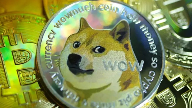 Прощание с Кабосу — собакой, вдохновившей мем «doge»