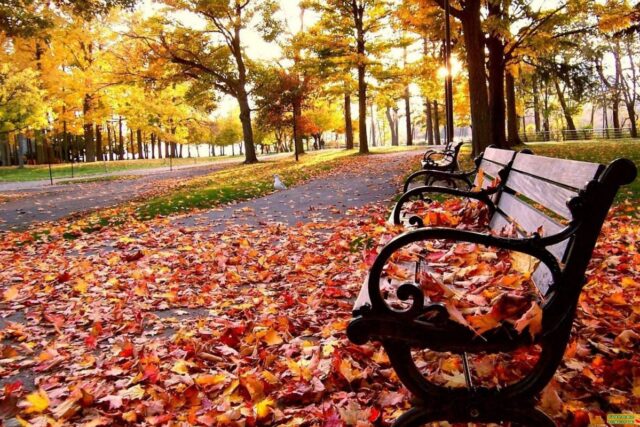 Волна похолодания придет в Украину 9 сентября: затронет четыре области страны