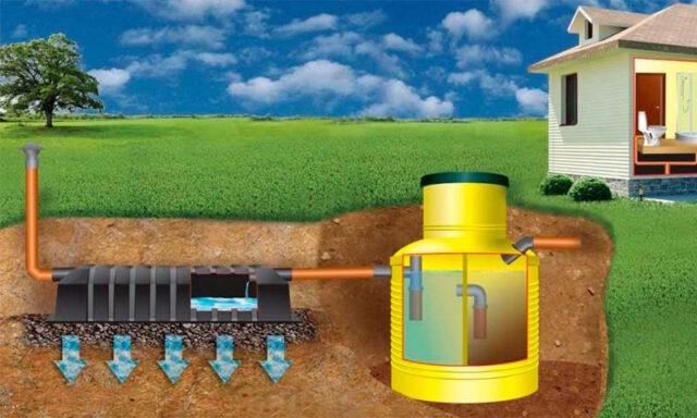 Зрение на максимум: какие витамины помогут вам видеть мир ярче