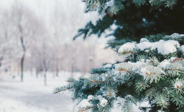 Сугробы до 30 см: синоптик рассказал, когда Украину начнет заметать