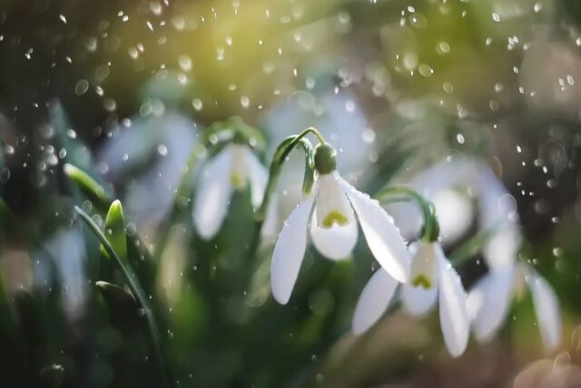 Много тепла и дождя: какая погода будет в Украине 22 и 23 марта