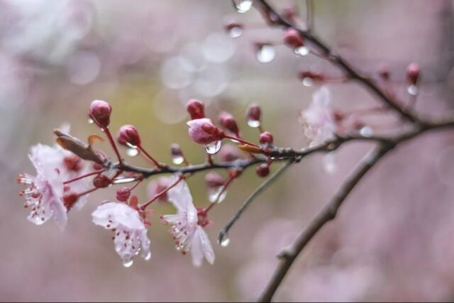 Украину с понедельника снова накроет похолодание: синоптик рассказала, где посвежеет