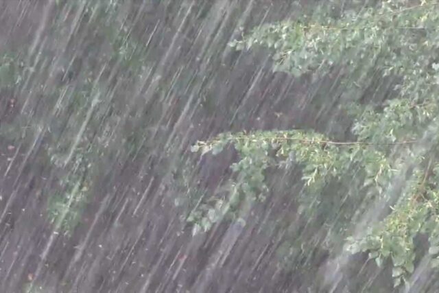 Сильнейшие ливни накроют часть Украины в ближайшие часы: названы области