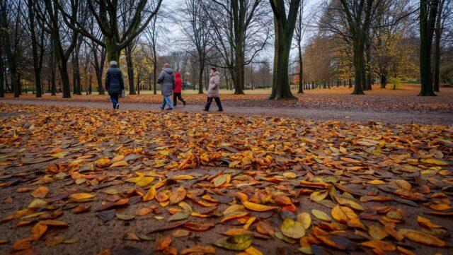Погода готовит Украине «сюрприз» на завтра: синоптики советуют готовиться к худшему