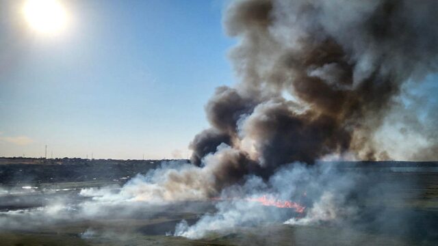 Уничтожают технику и сжигают урожай: оккупанты нацелились на сельхозугодия Украины