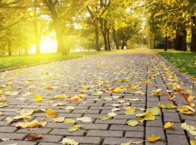 Погода подготовила украинцам сюрприз: к чему готовиться в ближайшие дни