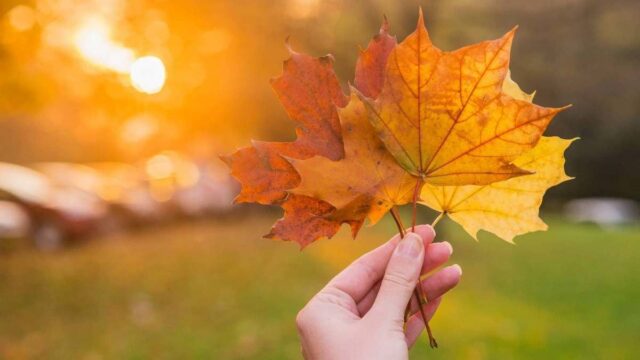 Украину ждут погодные качели: в какие области вернется тепло, а где возможен снег