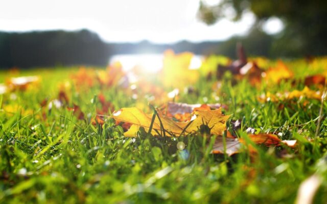 Сентябрь продолжит радовать украинцев: синоптик рассказал, в каких областях будет жарче всего