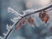 Аномальное тепло в Украине сменится похолоданием, которое больше всего затронет два региона