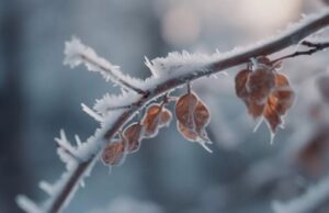 Аномальное тепло в Украине сменится похолоданием, которое больше всего затронет два региона