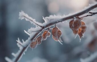 Аномальное тепло в Украине сменится похолоданием, которое больше всего затронет два региона