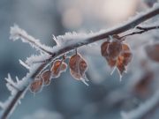 В Украину идут сильные морозы: когда и где ждать похолодания