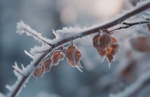 В Украину идут сильные морозы: когда и где ждать похолодания