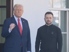 Зеленский и Трамп скоро подпишут соглашение на 800 млрд долларов – The Telegraph раскрывает детали