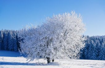 Потепление окажется недолгим: Украину ждет новая волна сильных морозов – где будет до -25