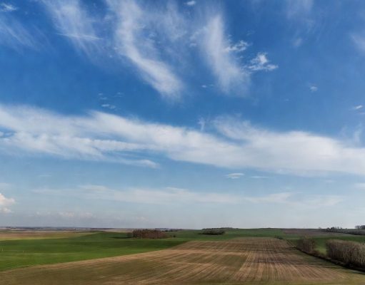 Весна с контрастами: синоптик рассказал о погоде до конца марта и сообщил, чего ждать в апреле и мае