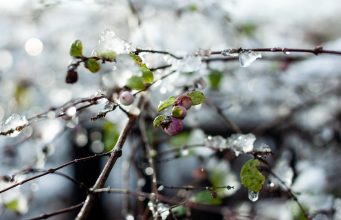 Весна в Украине набирает обороты: где в первую неделю марта потеплеет до +15