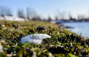 В Украину врывается настоящая весна: температура воздуха удивит в ближайшие дни