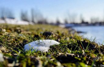 В Украину врывается настоящая весна: температура воздуха удивит в ближайшие дни