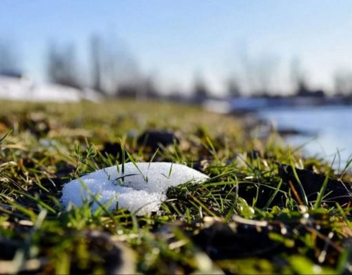 В Украину врывается настоящая весна: температура воздуха удивит в ближайшие дни