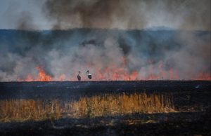 В Украине температура пробила отметку в +18 °C: антициклон «Конрад» принес тепло и новую опасность