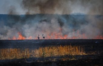 В Украине температура пробила отметку в +18 °C: антициклон «Конрад» принес тепло и новую опасность