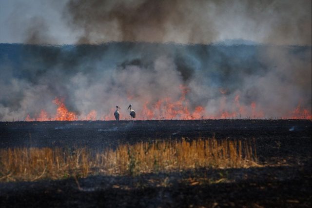 В Украине температура пробила отметку в +18 °C: антициклон «Конрад» принес тепло и новую опасность